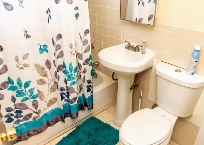 Exquisite Rogers Park 1 Bedroom, 1 Bath Near Evanston